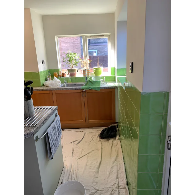 The green kitchen, work in progress